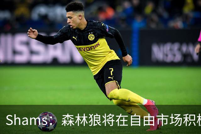 Shams：森林狼将在自由市场积极补强4号位 但他们只能提供底薪